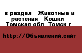  в раздел : Животные и растения » Кошки . Томская обл.,Томск г.